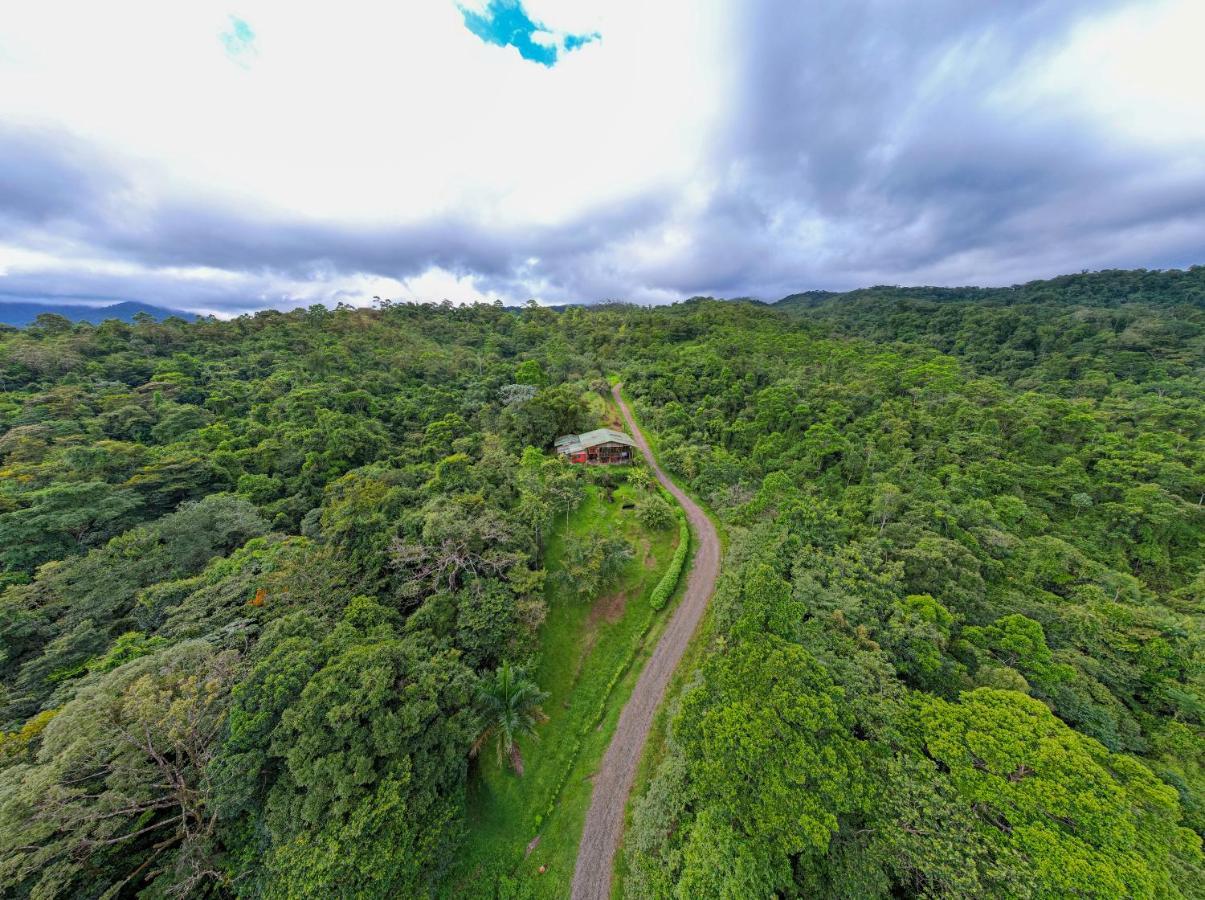 Birds & Breakfast Costa Rica Bed & Breakfast La Tigra  Bagian luar foto