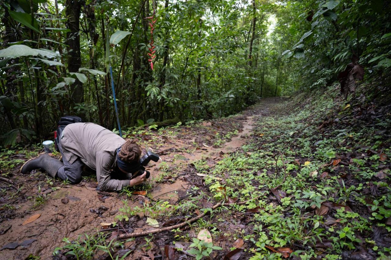 Birds & Breakfast Costa Rica Bed & Breakfast La Tigra  Bagian luar foto