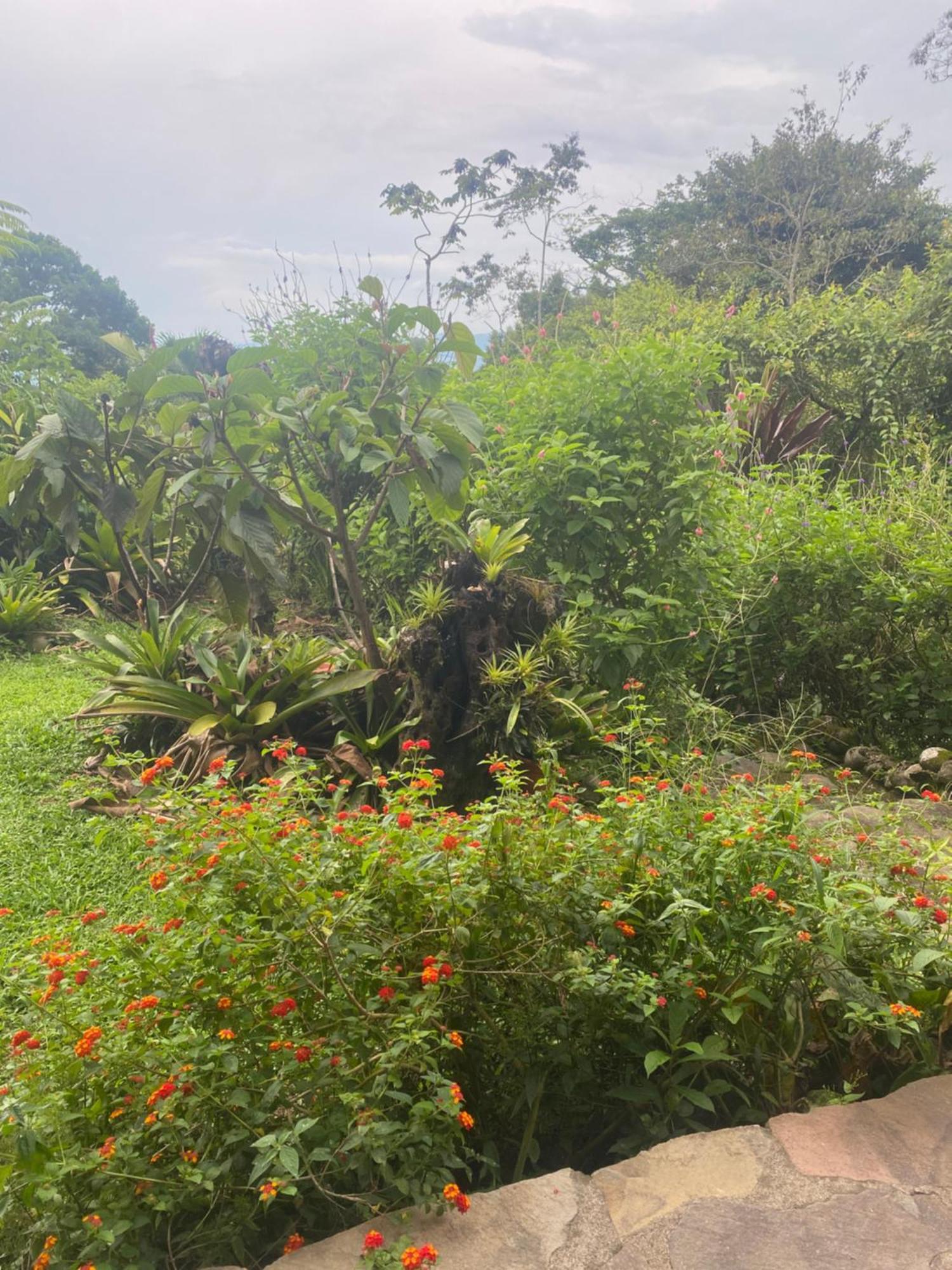 Birds & Breakfast Costa Rica Bed & Breakfast La Tigra  Bagian luar foto