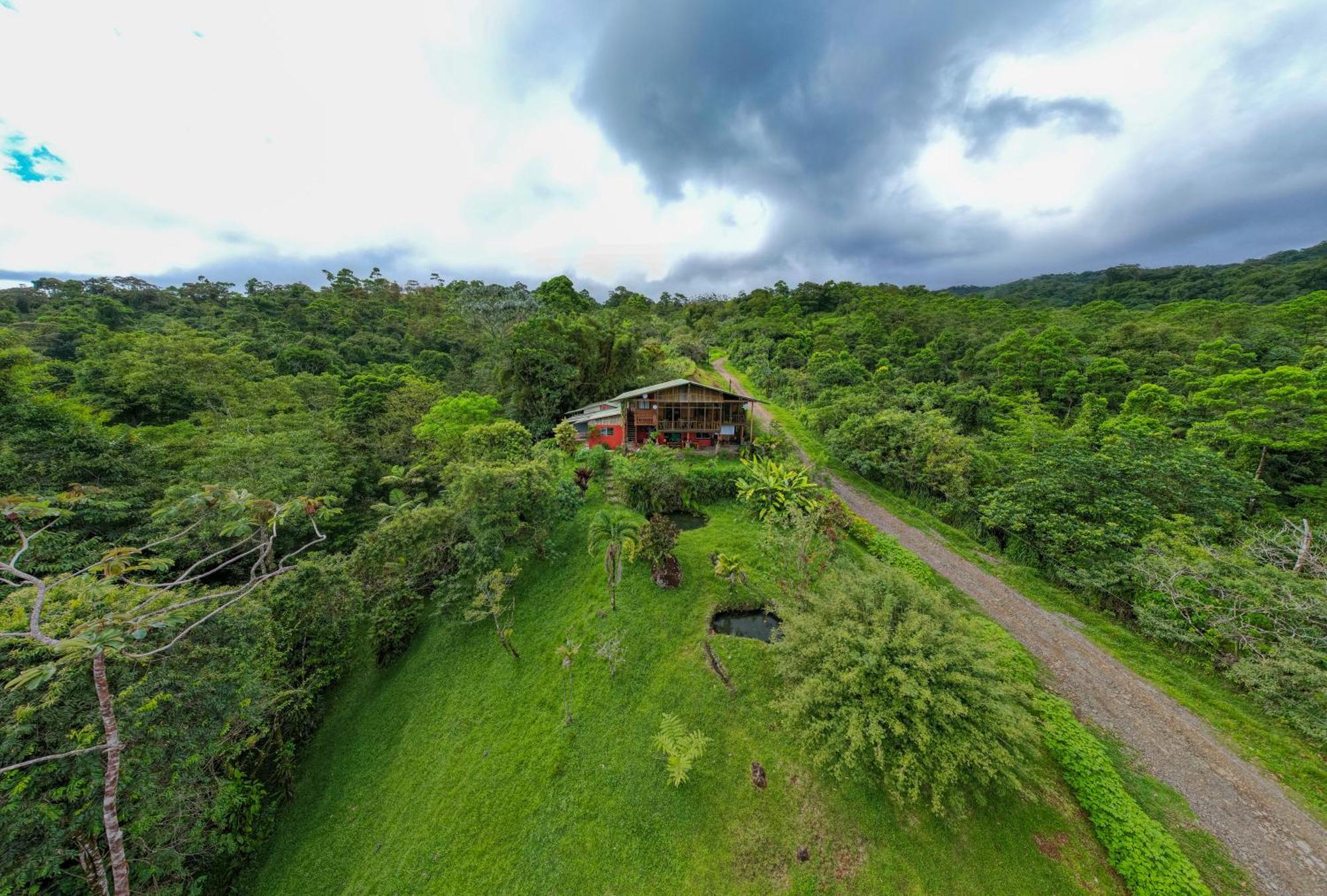 Birds & Breakfast Costa Rica Bed & Breakfast La Tigra  Bagian luar foto