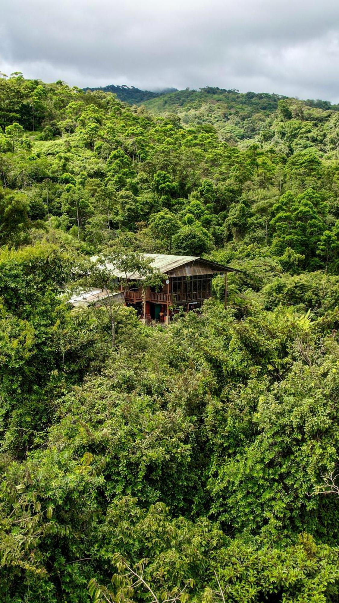 Birds & Breakfast Costa Rica Bed & Breakfast La Tigra  Bagian luar foto